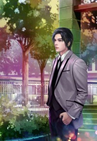 银鸦之主